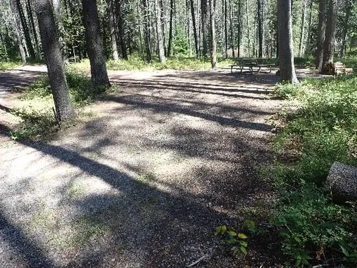 D175