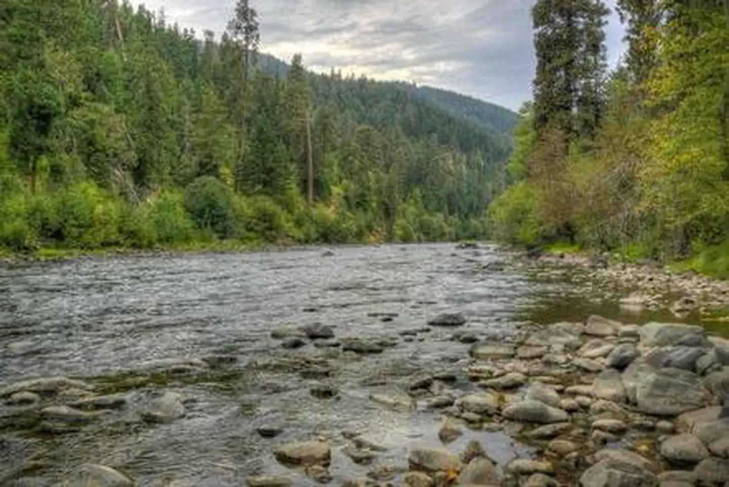 Cottonwood Campground - Naches River (WA)