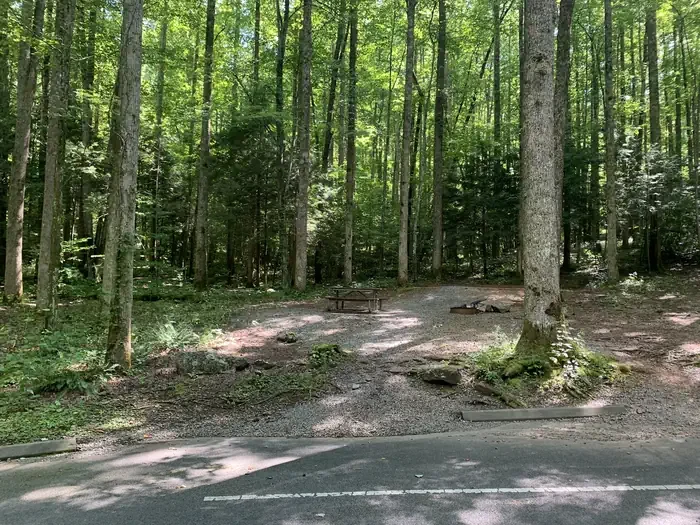 B85