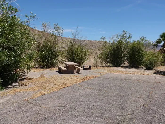 Site 42