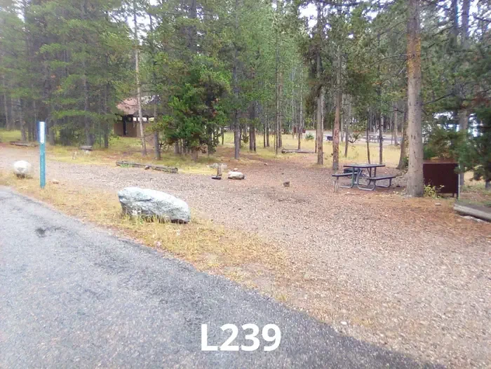 239
