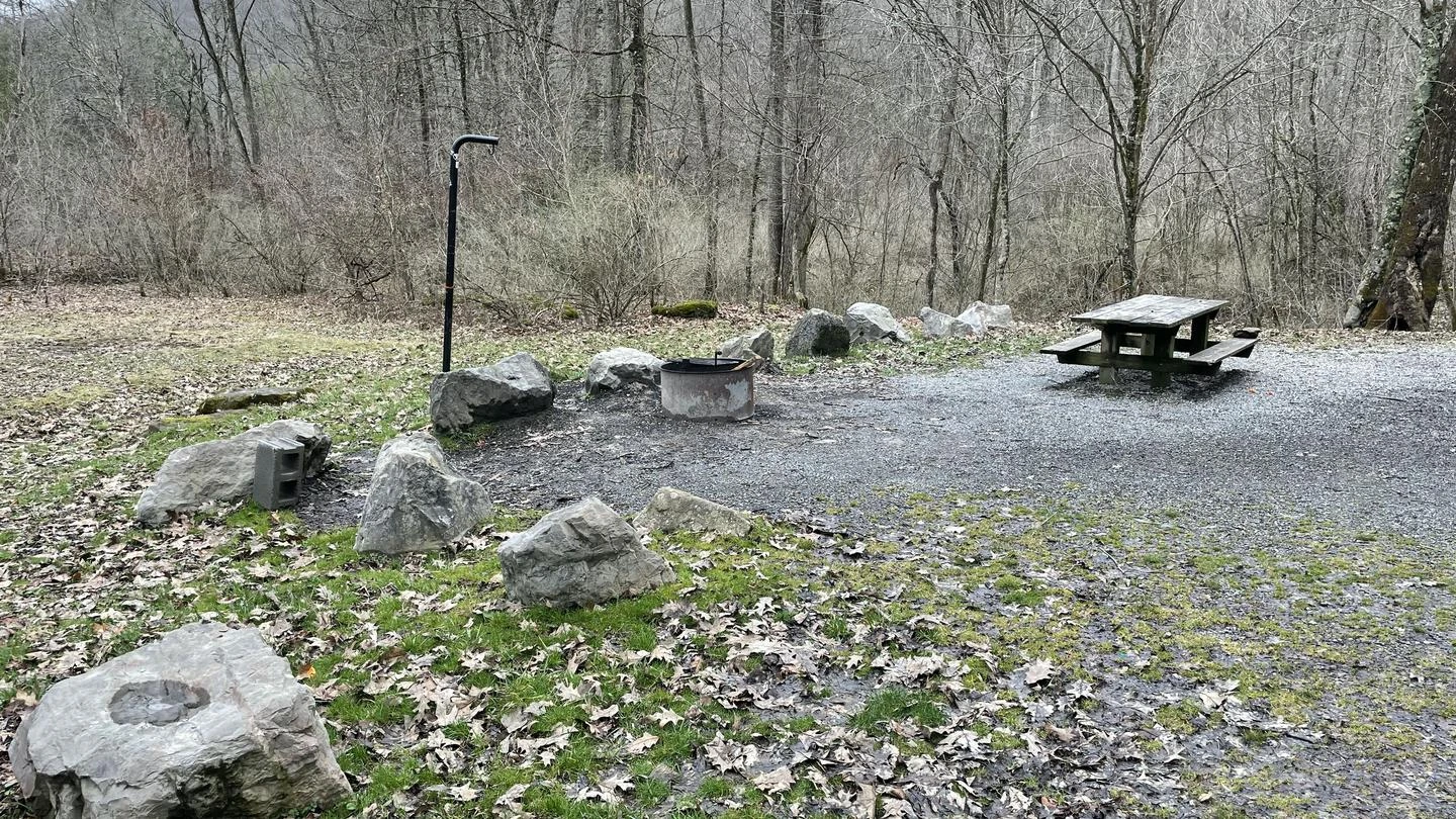 Cranberry River Campsites