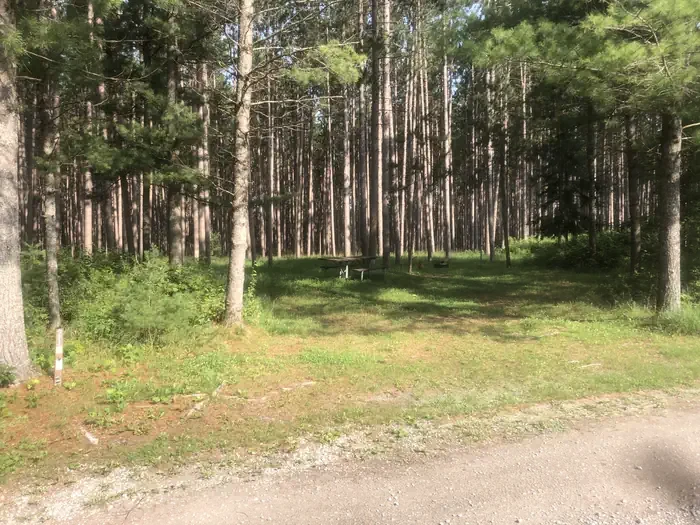 South Branch Trail Camp Group Site