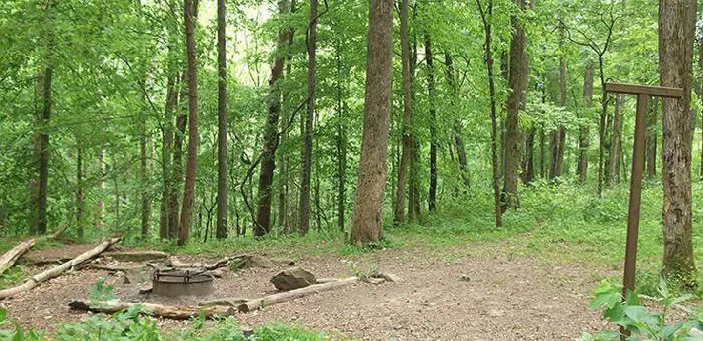 McCoy Hollow