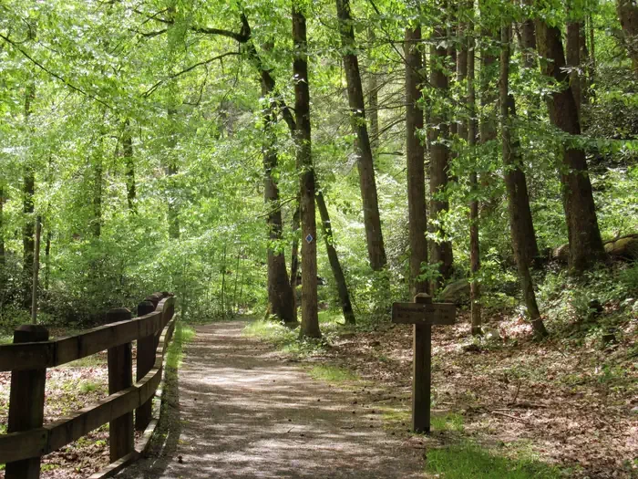 Paint Creek Campground
