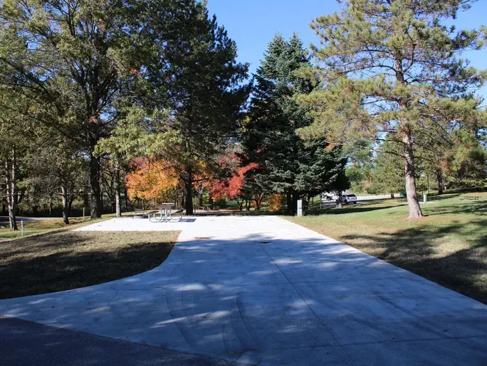 D117