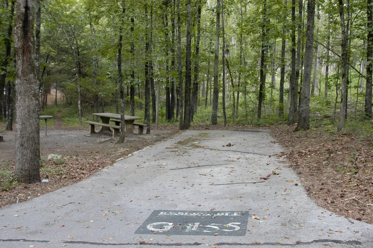 G15