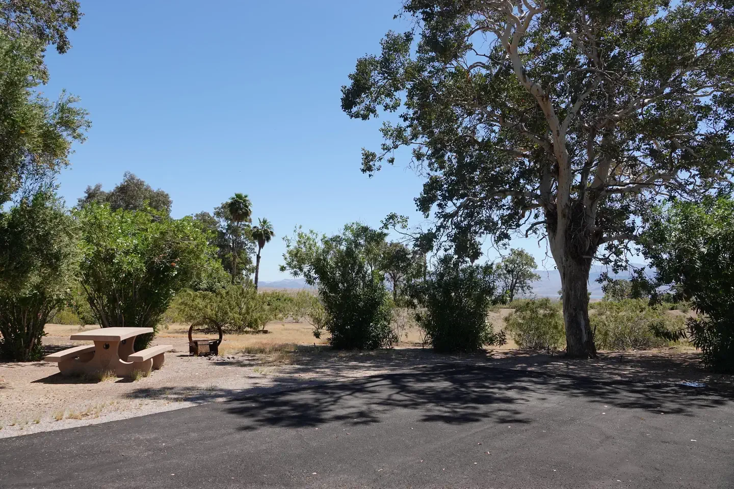 Site 21