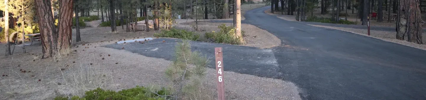 A246