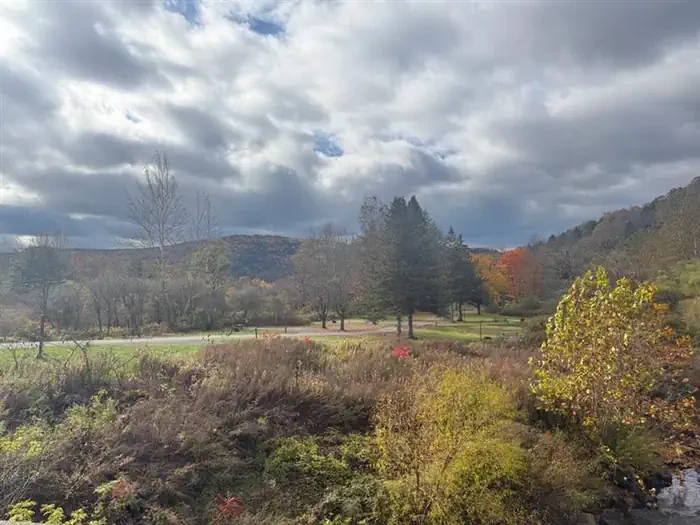 Kellettville Recreation Area (pa)