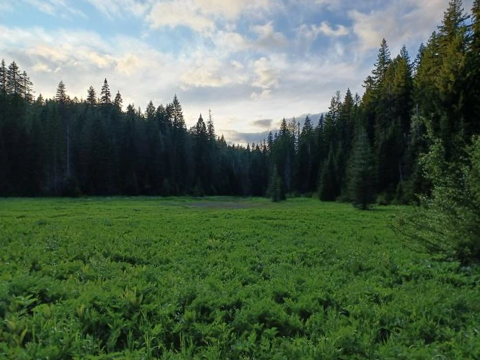 Hemlock Meadows Campground