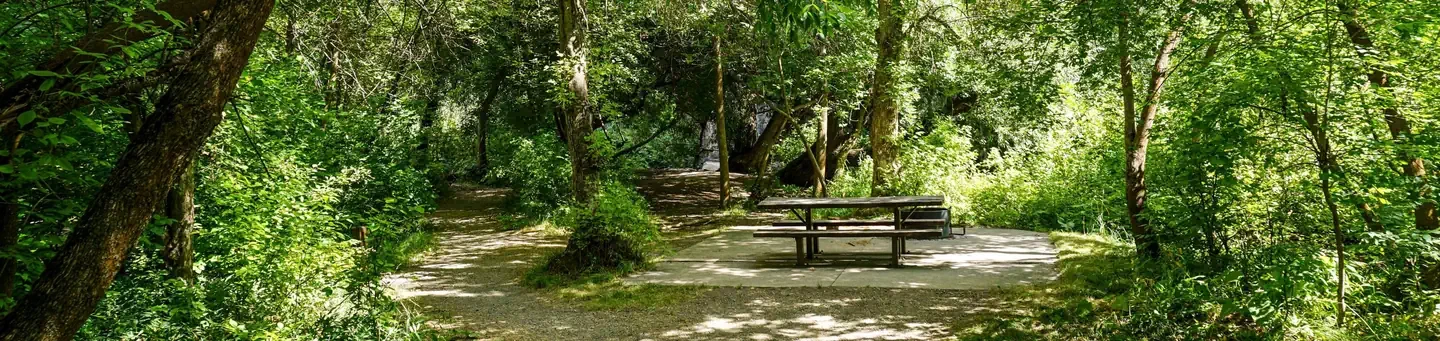 Card Picnic Area