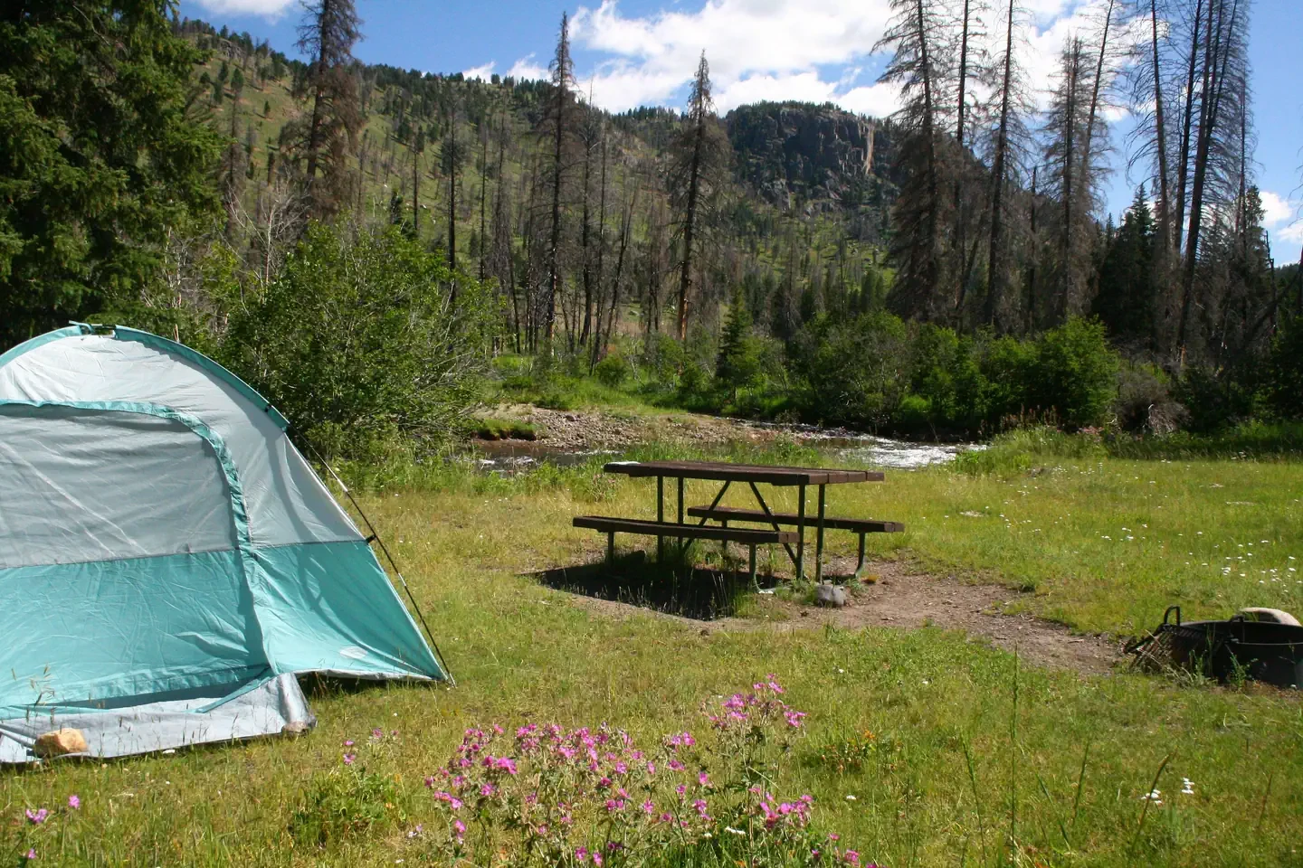 Slough Creek site #5