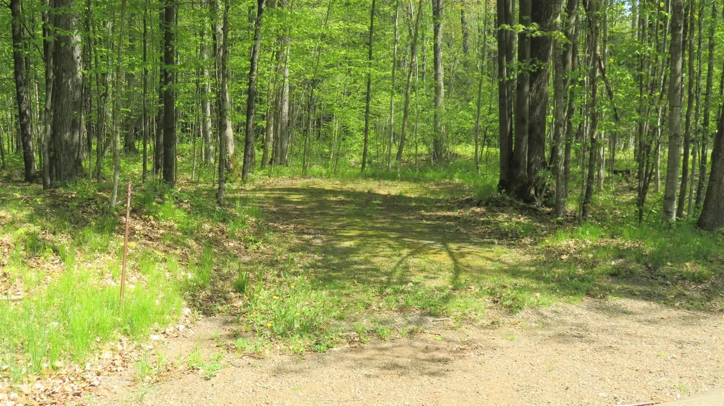 S61