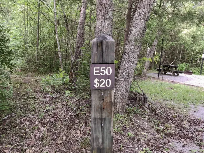 50