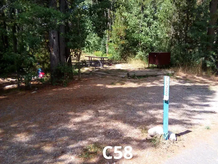 58