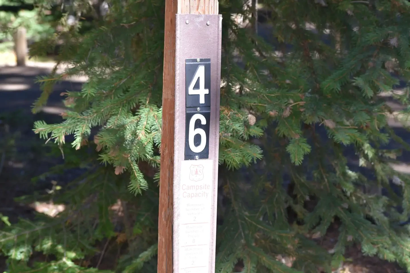 46