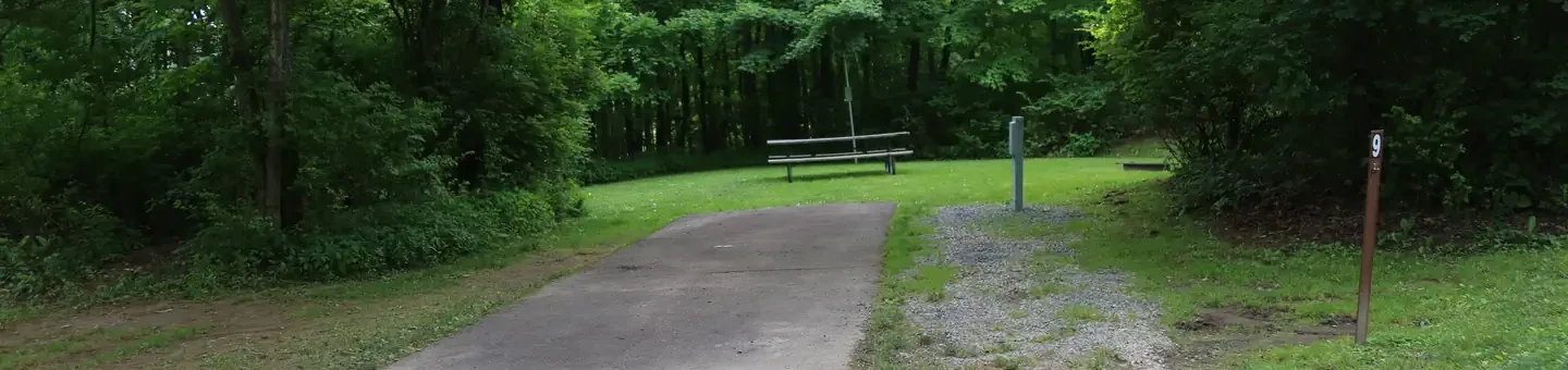 009