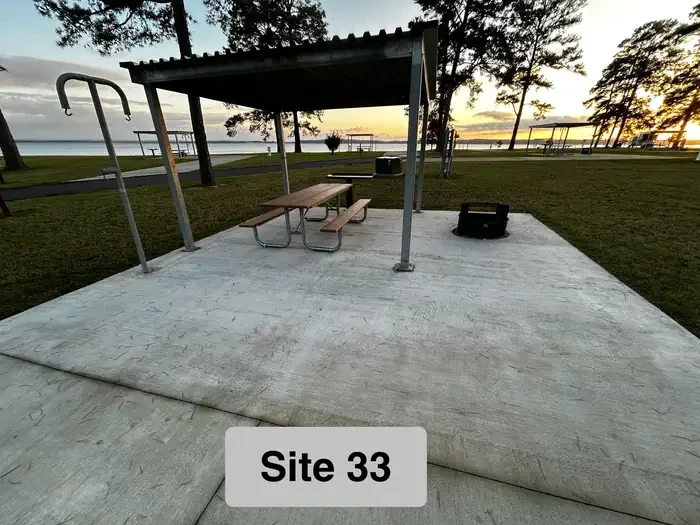 33