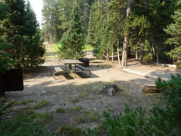 Lewis Lake site #12