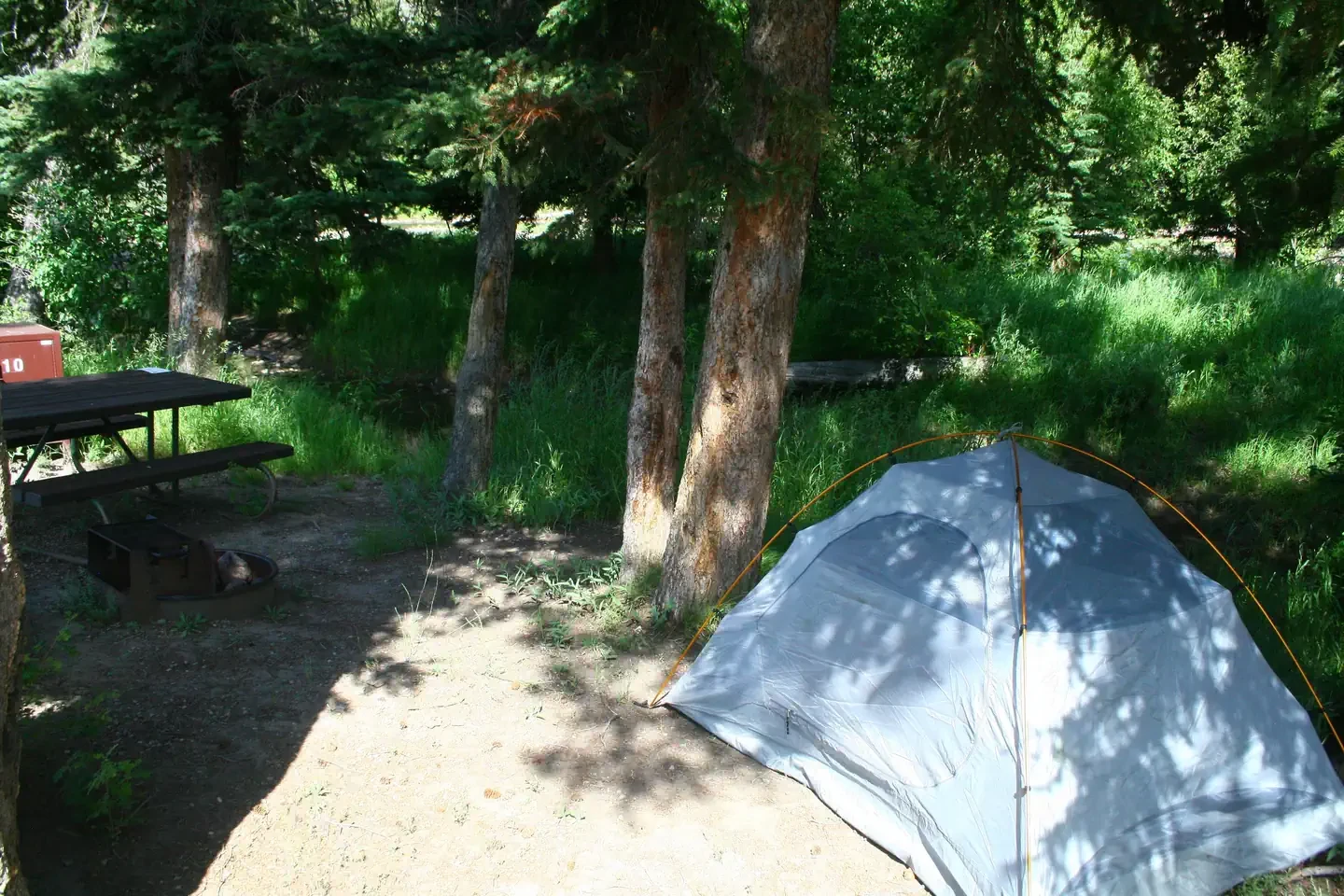Slough Creek site #10
