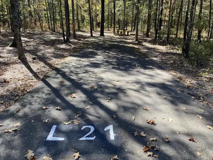 L21