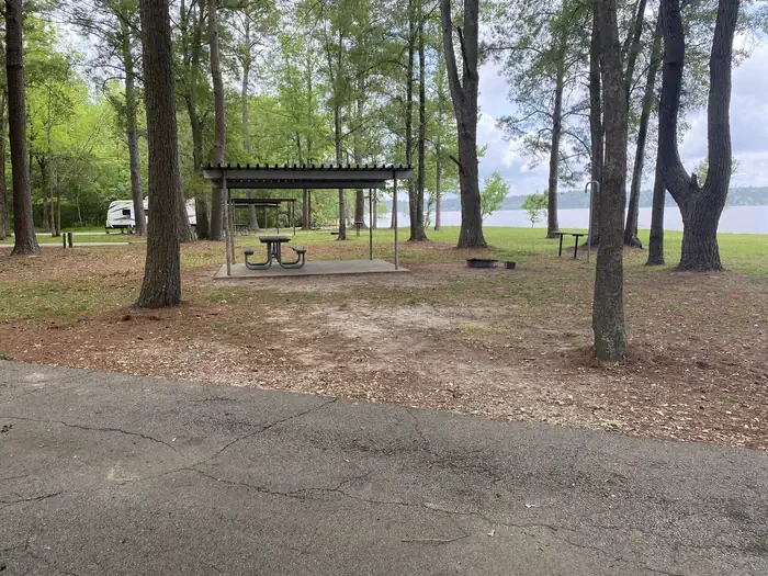 49