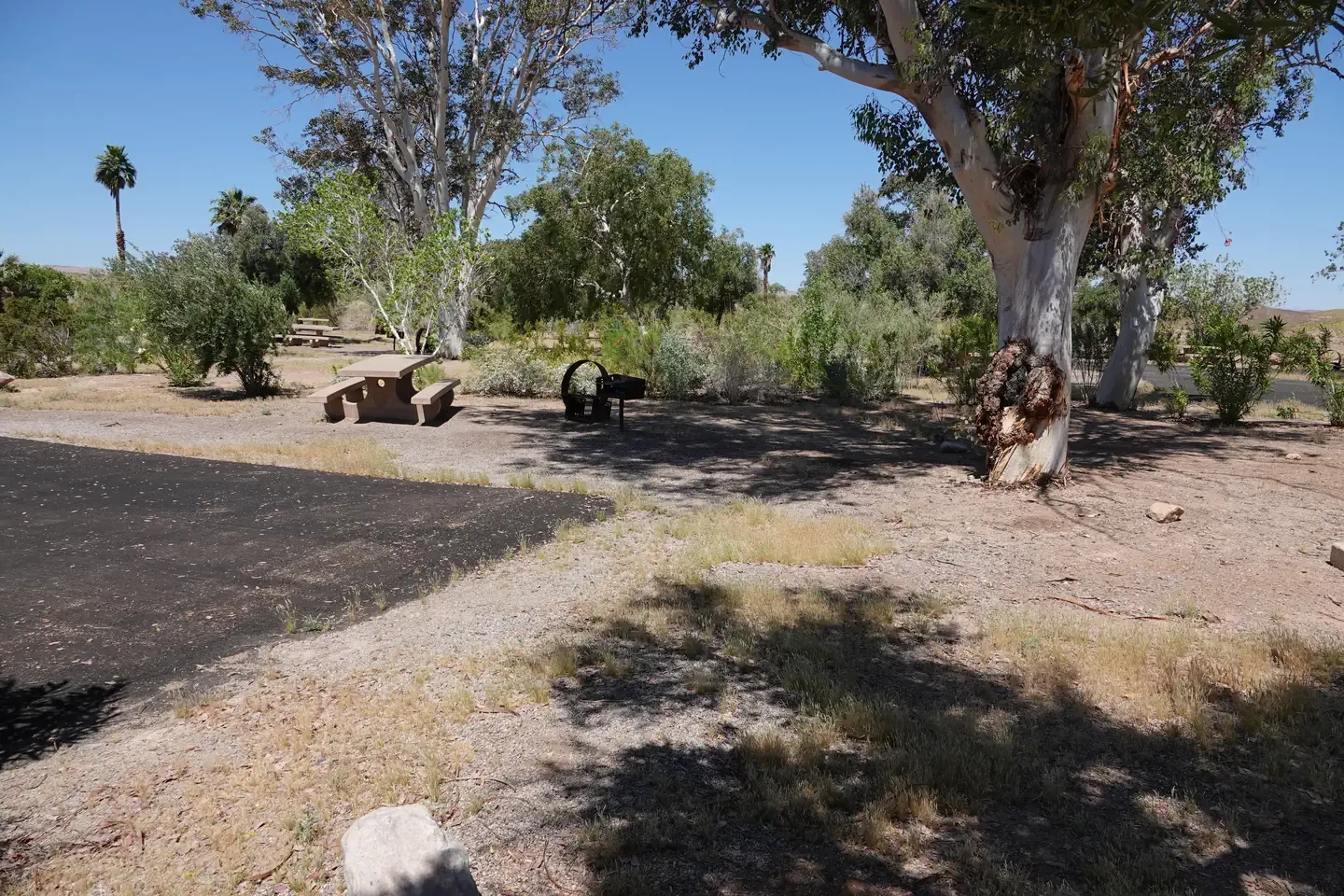 Site 12