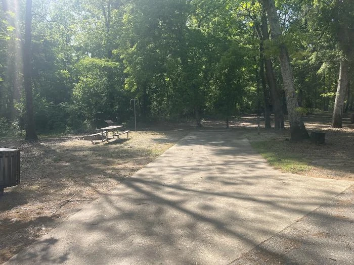 Site 46