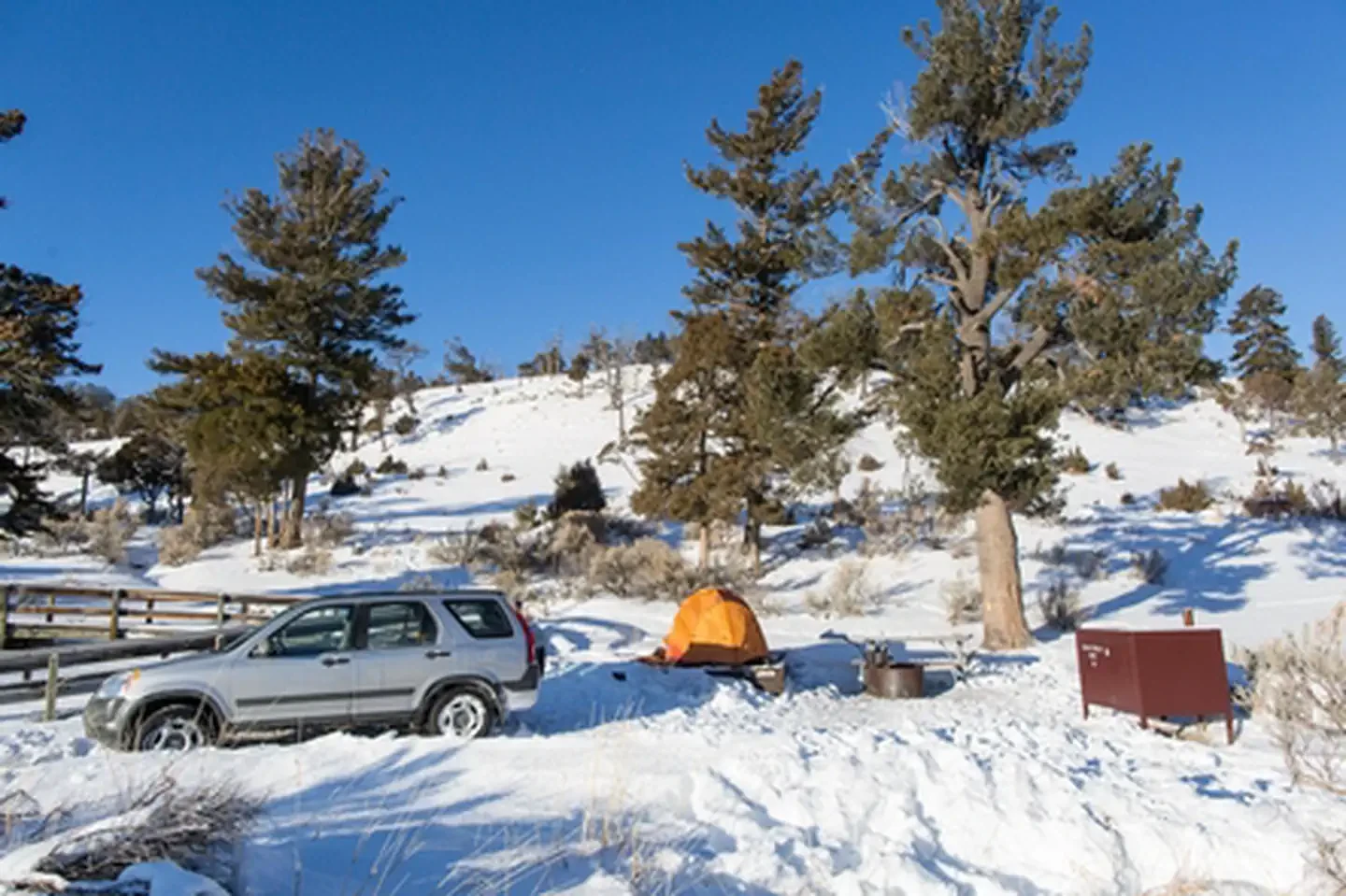 Mammoth Campground (Yellowstone)