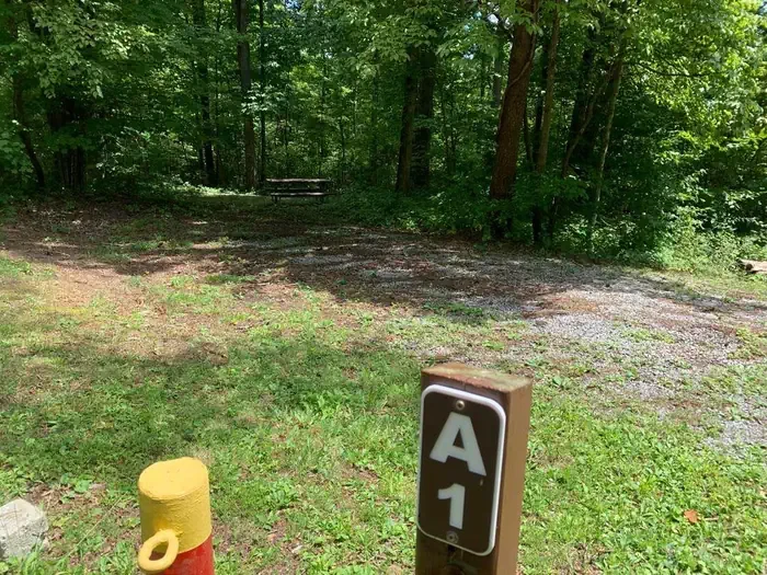 A-01