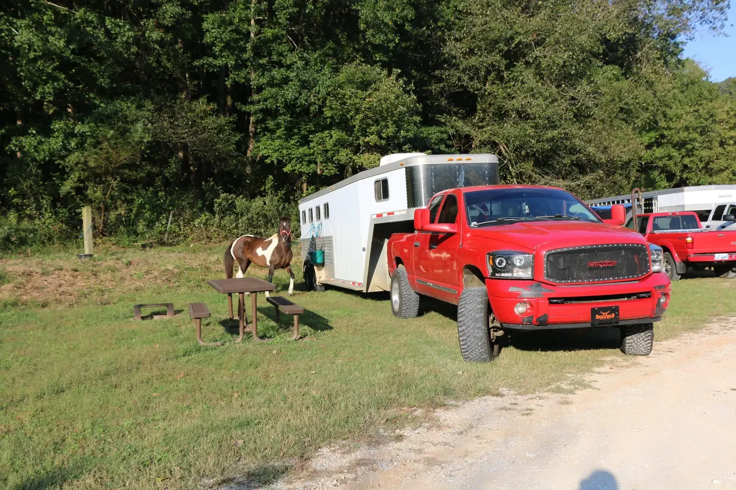 38 - Horse Site