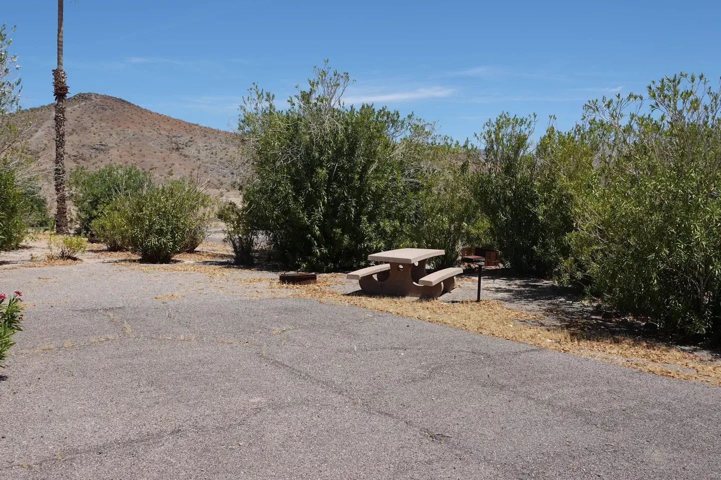Site 24