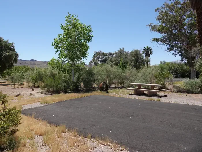 Site 43
