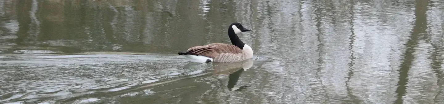 82