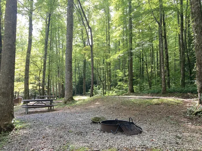 A56