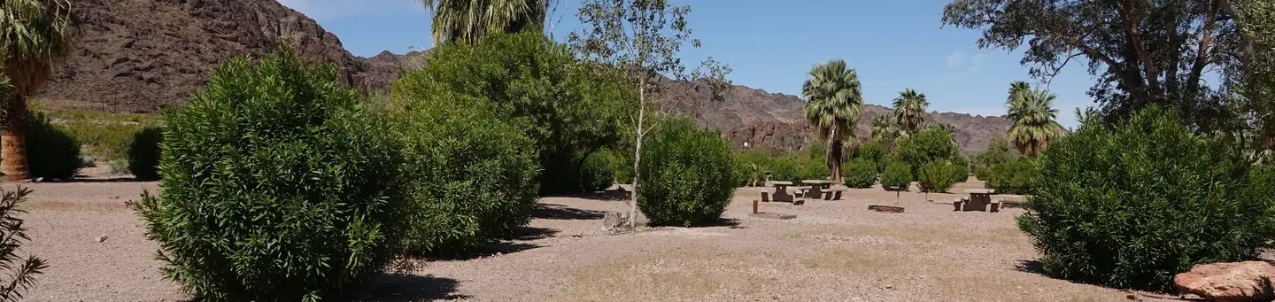 Group Site 1