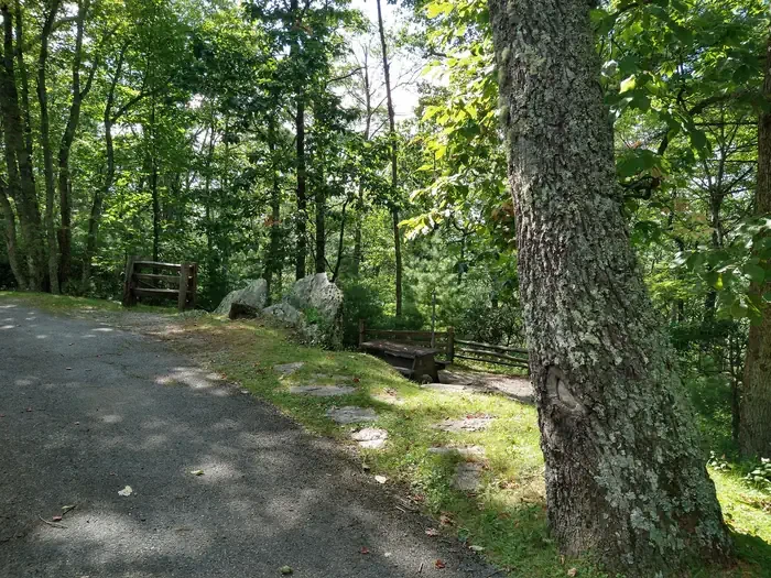 A09