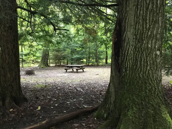 Hearts Content Recreation Area