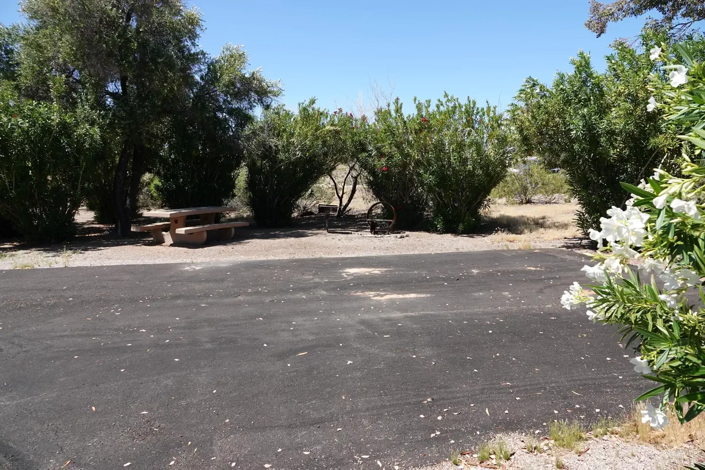 Site 18
