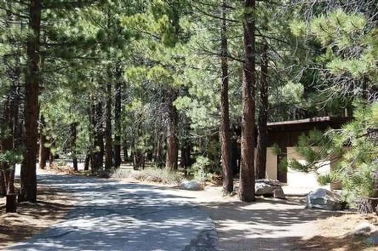 New Shady Rest Campground