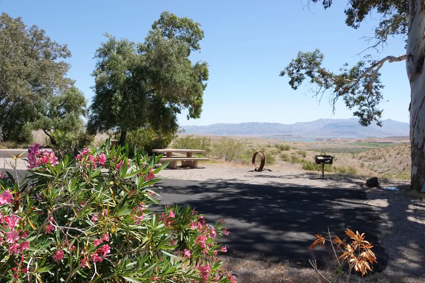 Site 28