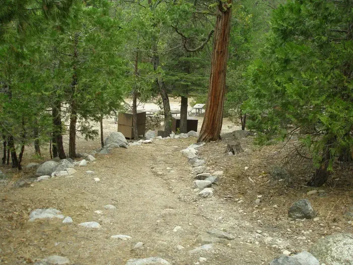Site D