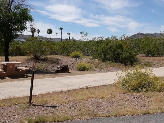 Site 5