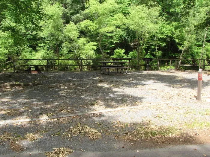 Site 10