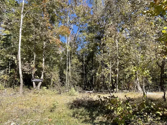 Crowder Cove - Site 5
