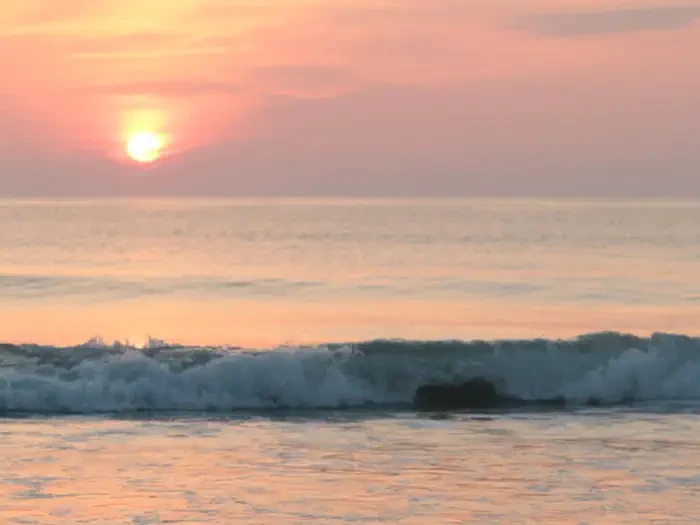 Canaveral National Seashore Turtle Watch Tours