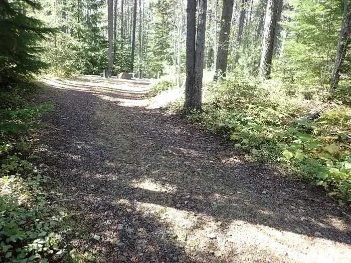 C155