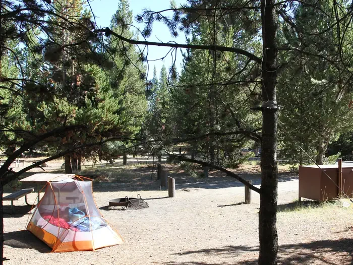 Indian Creek site #53