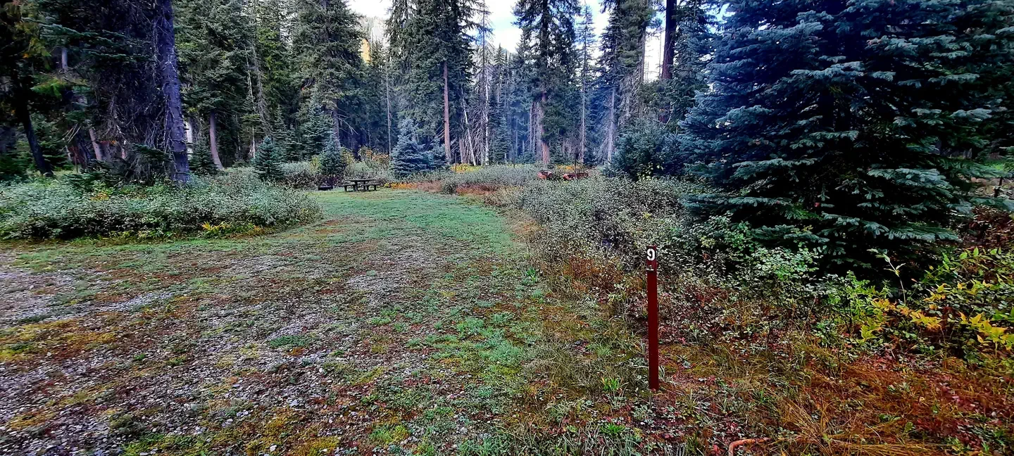 Phelps Creek Campground